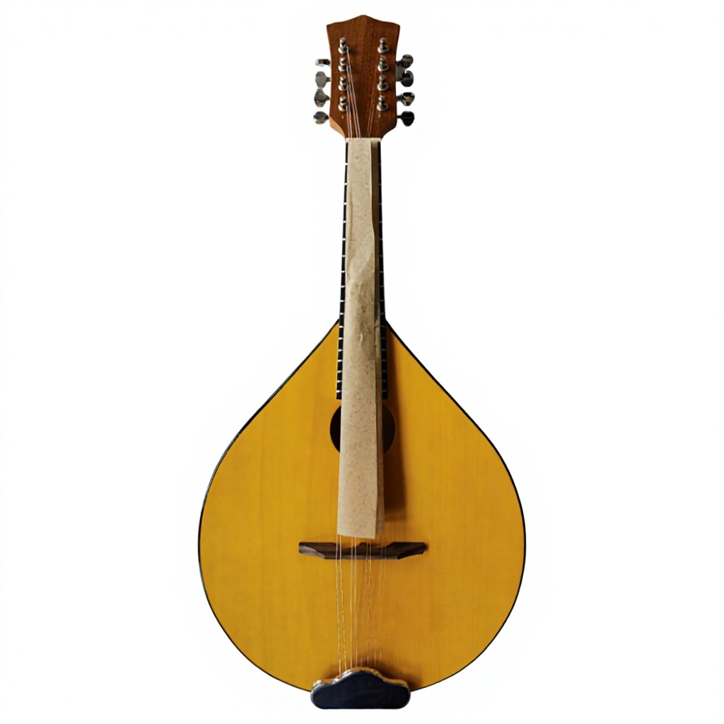 8-strunowe banjo akustyczne, t – Musical Instrument Banjo recenzja i cena